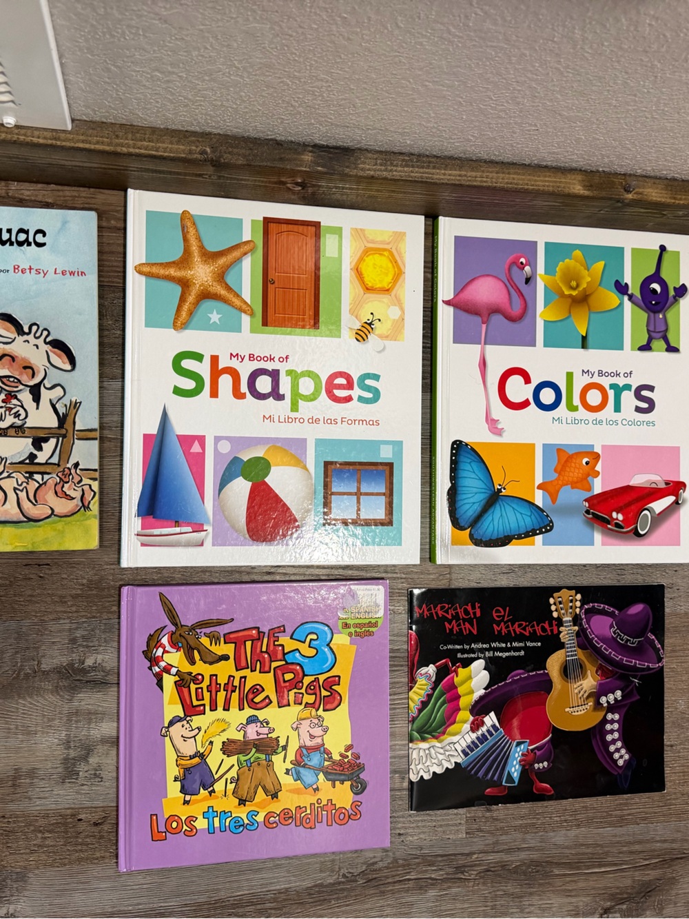 Lot of Bilingual books/ English & Spanish—